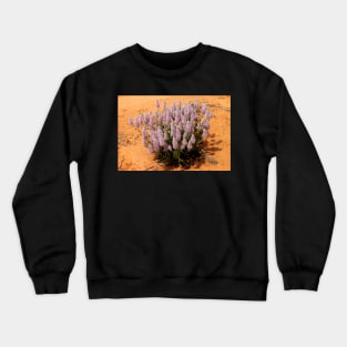 Mulla Mulla Plant in the Mallee at Mungo Crewneck Sweatshirt